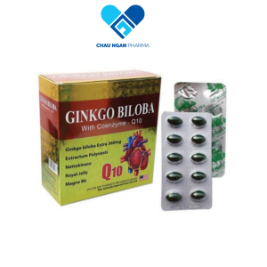 GINKGO BILOBA 360 mg Q10 Vàng Hộp 100V - BNPHARMA