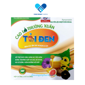 Siro Cao Lá Thường Xuân Tỏi Đen Hộp 20 gói -BNpharma