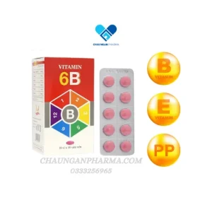 VITAMIN 6B MDP-USA Hộp 100 viên nén - Châu Ngân