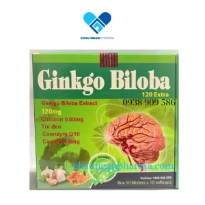 GINKGO BILOBA 120 EXTRA Citicolin Hộp 100 viên - Châu Ngân Pharma