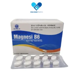 Manegie B6 Đại Uy - Hộp 100 viên - Châu Ngân Pharma