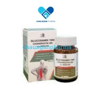 TPBVSK Glucosamin Chondroitin Plus MSM MDP USA Hộp 60 viên - Chaunganpharma