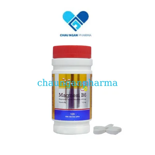 TPBVSK Magnesi B6 MDP USA Hỗ trợ làm giảm chuột rút,blo âu, mệt mỏi Lọ 120 viên nén – Chaunganpharma