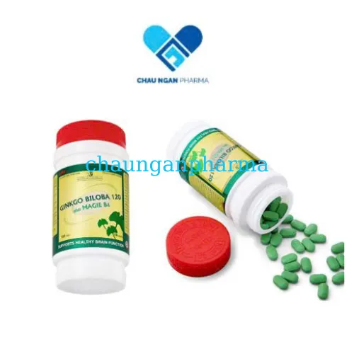 TPBVSK GINKGO BILOBA 120 PLUS MAGIE B6 MDP USA Lọ 100 viên nén – Chaunganpharma